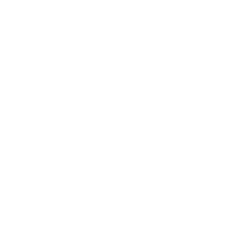 Logo Presentation 17